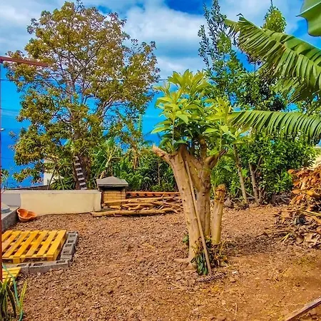 Typical Farm Arco da Calheta (Madeira)