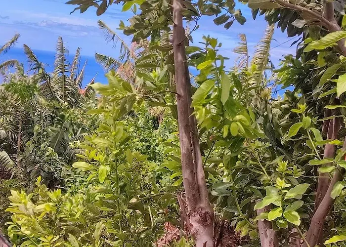 شقة Typical Farm أركو دا كالهيتا