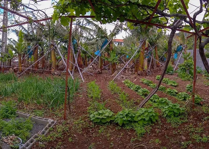 Apartmán Typical Farm Arco da Calheta (Madeira)